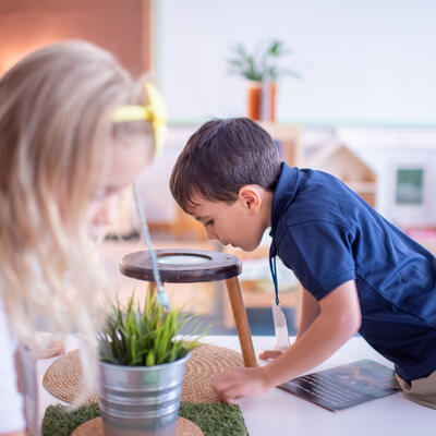 Early Learning